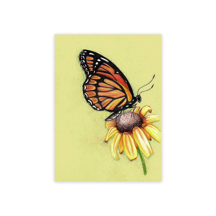 butterfly poster preview