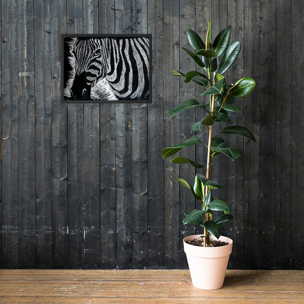 Monochrome Zebra Wax Etching Design Poster Framed