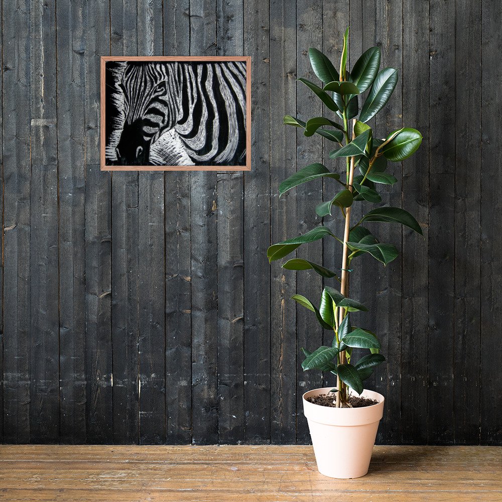 Monochrome Zebra Wax Etching Design Poster Framed