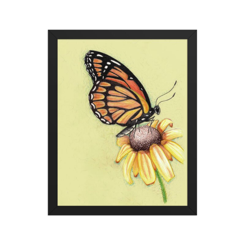Butterfly on Flower Pencil Design Poster Framed