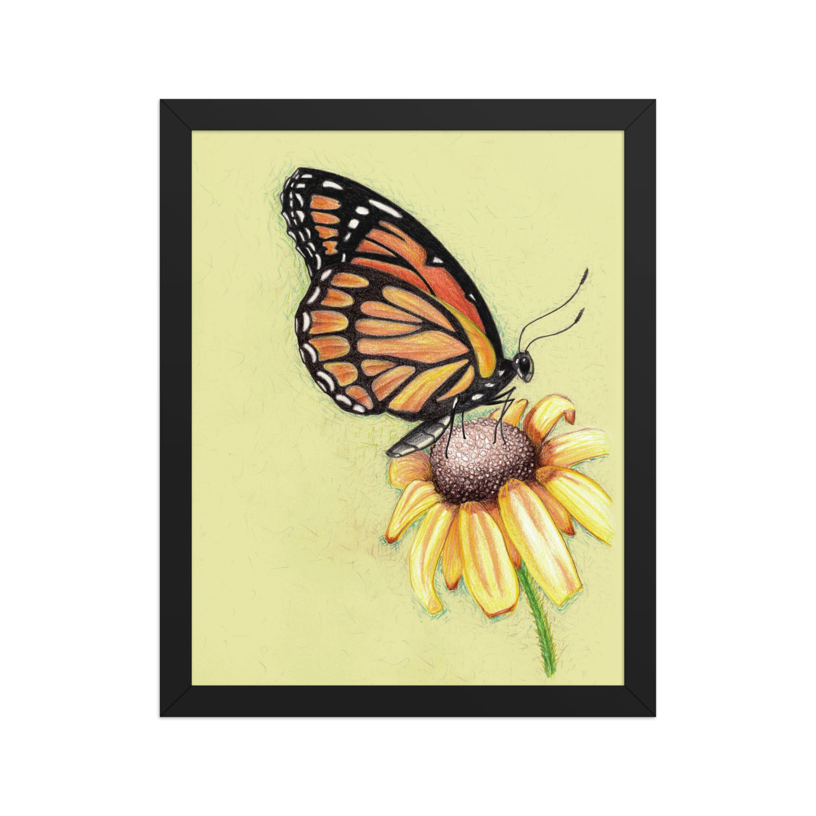 Butterfly on Flower Pencil Design Poster Framed - Image 1