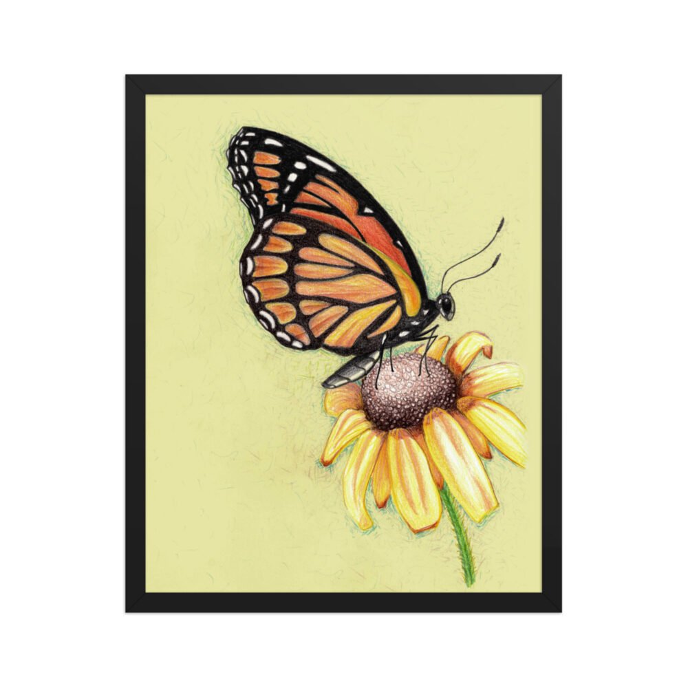 Butterfly on Flower Pencil Design Poster Framed