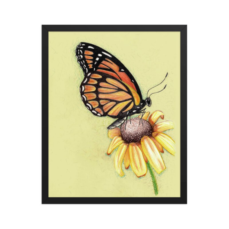 Butterfly on Flower Pencil Design Poster Framed - Image 3