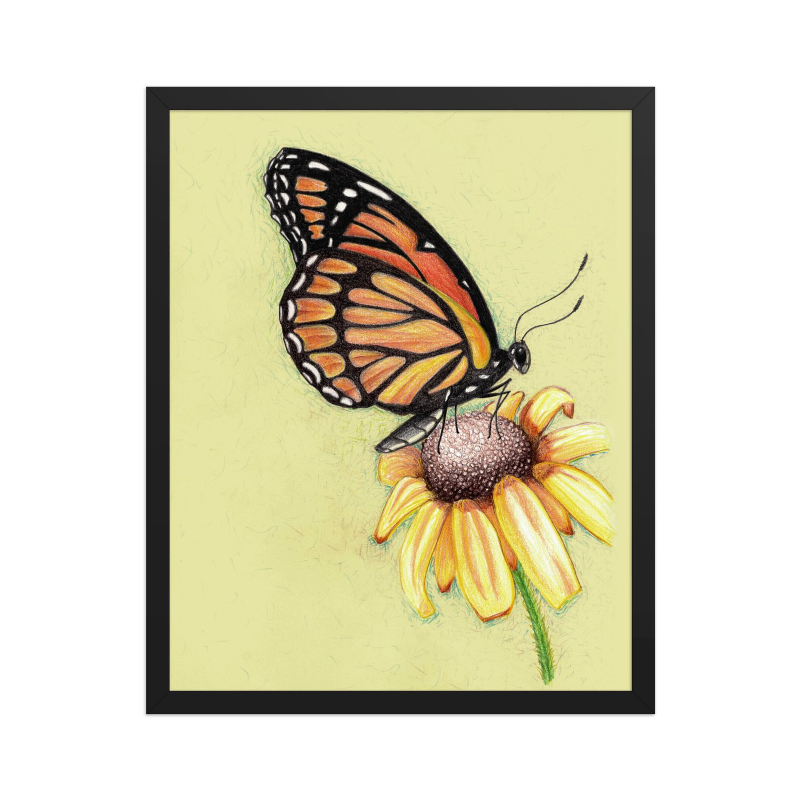 Butterfly on Flower Pencil Design Poster Framed - Image 3