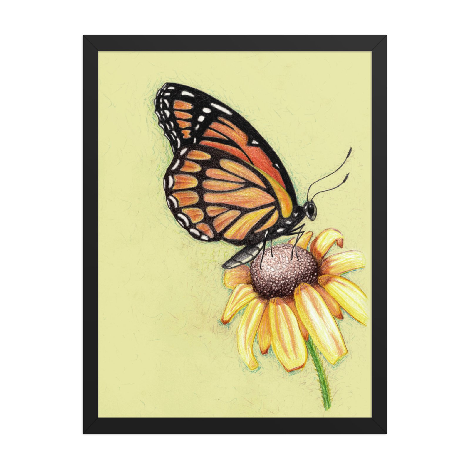 Butterfly on Flower Pencil Design Poster Framed - Image 4