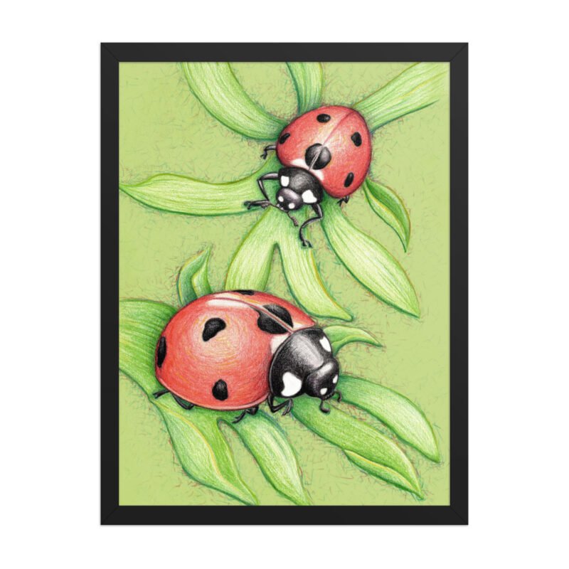 'Two Red Birds' Ladybug Pencil Design Poster Framed - Image 4