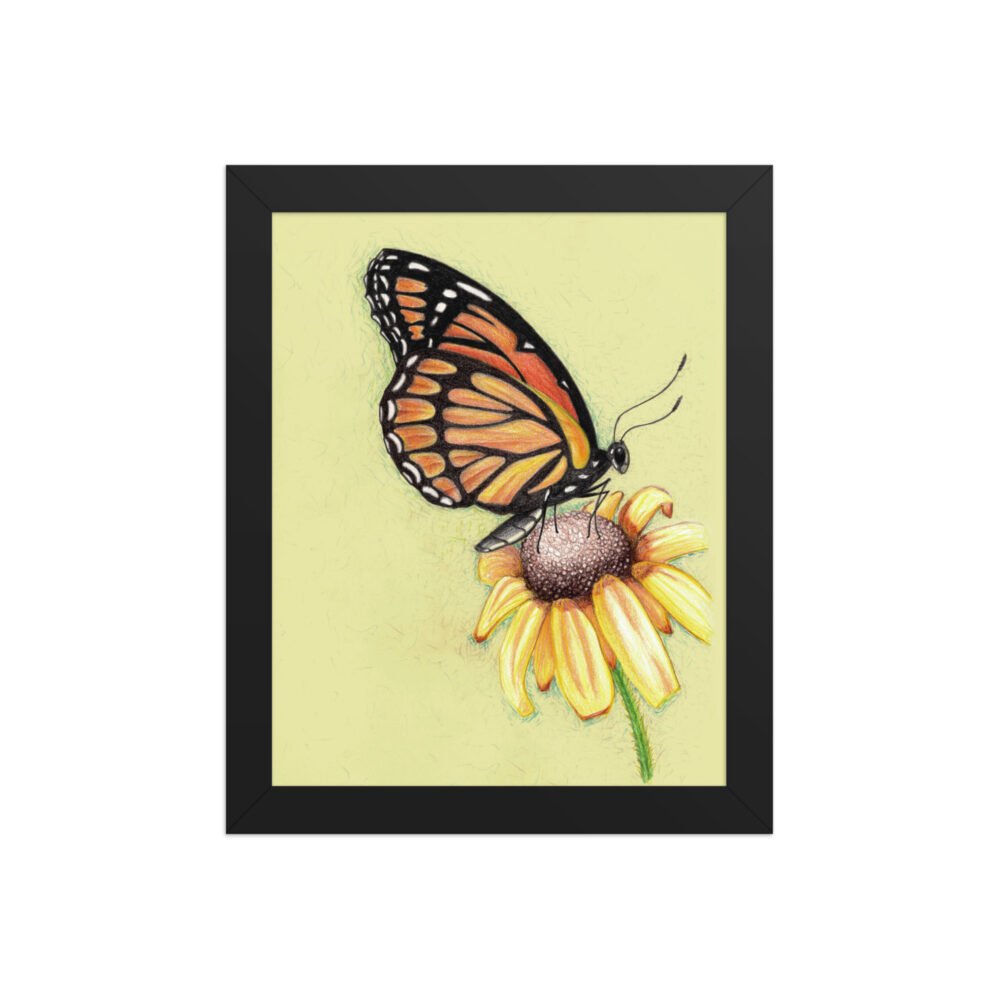 Butterfly on Flower Pencil Design Poster Framed