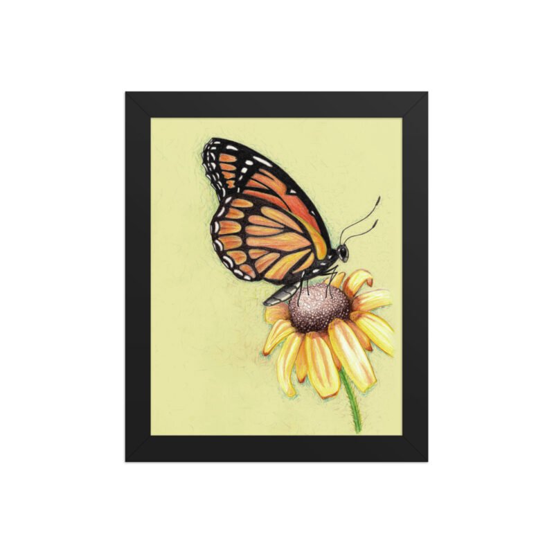 Butterfly on Flower Pencil Design Poster Framed - Image 2