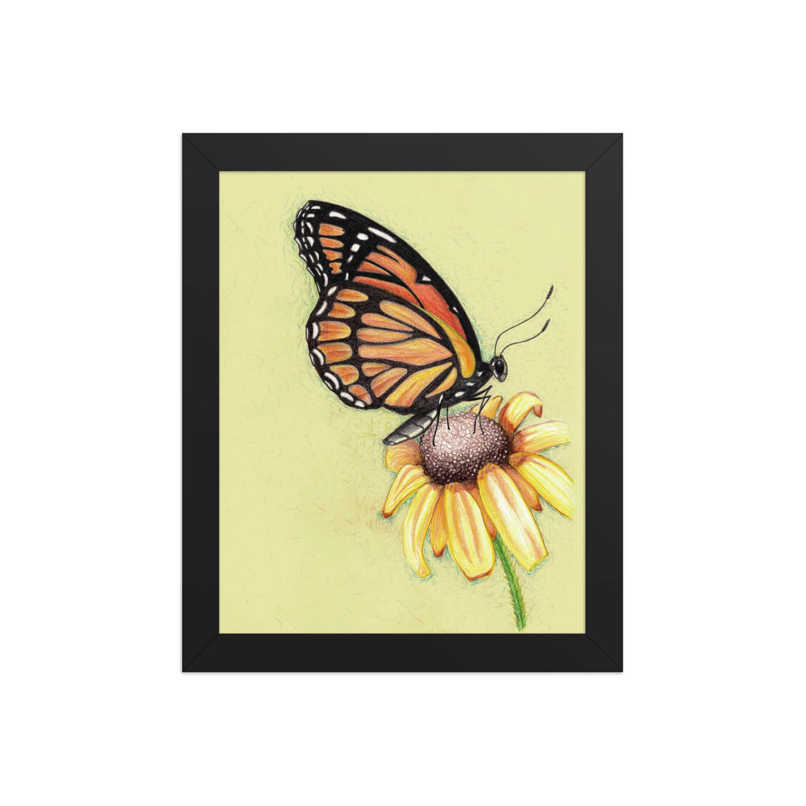 Butterfly on Flower Pencil Design Poster Framed - Image 2