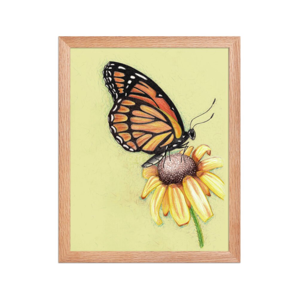 Butterfly on Flower Pencil Design Poster Framed