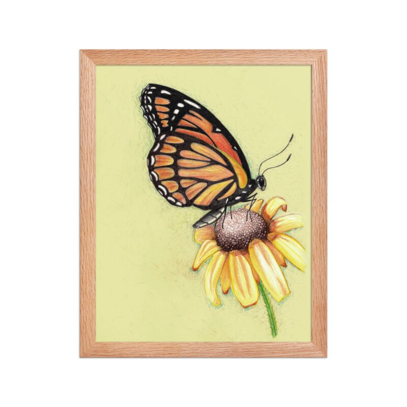 Butterfly on Flower Pencil Design Poster Framed - Image 6