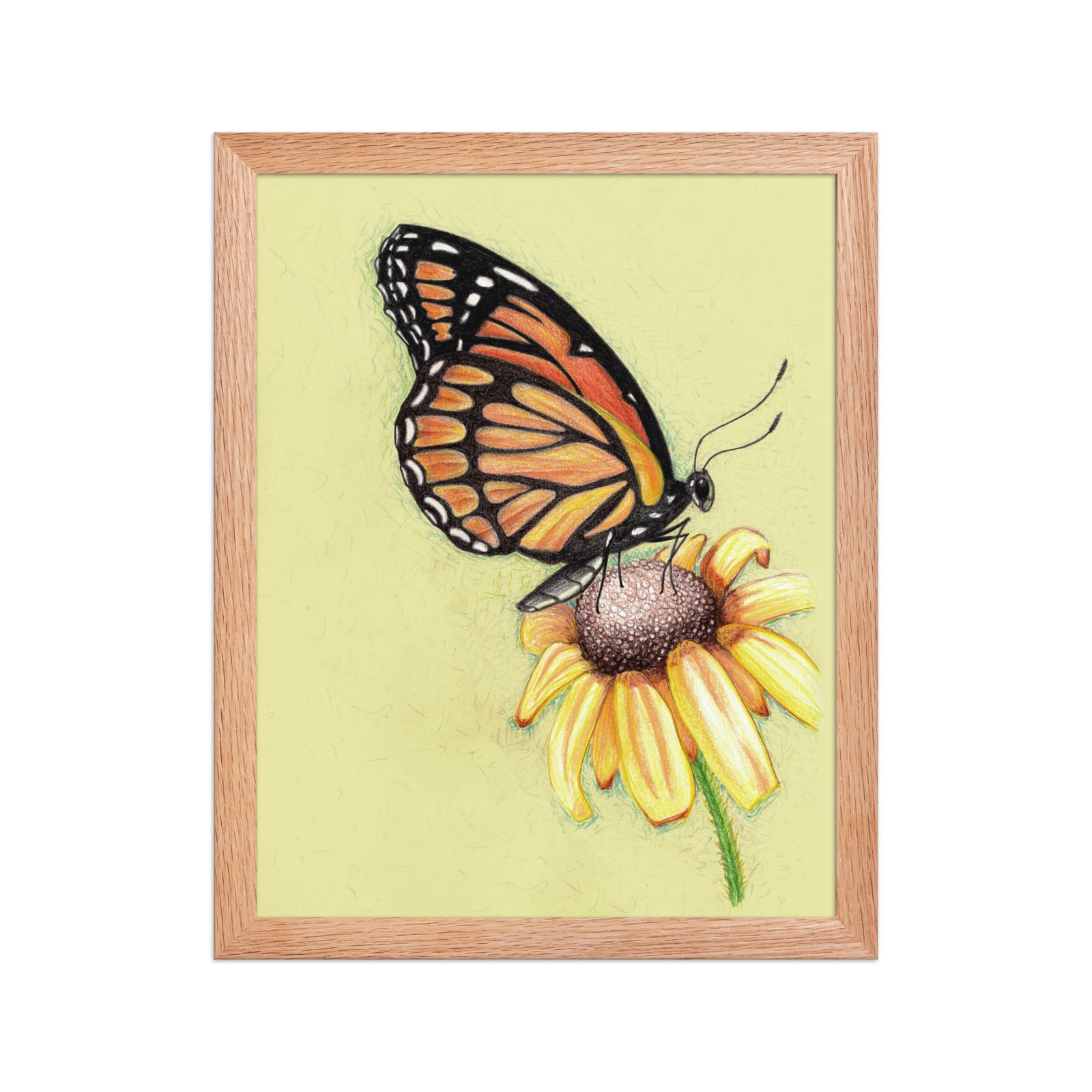 Butterfly on Flower Pencil Design Poster Framed - Image 6