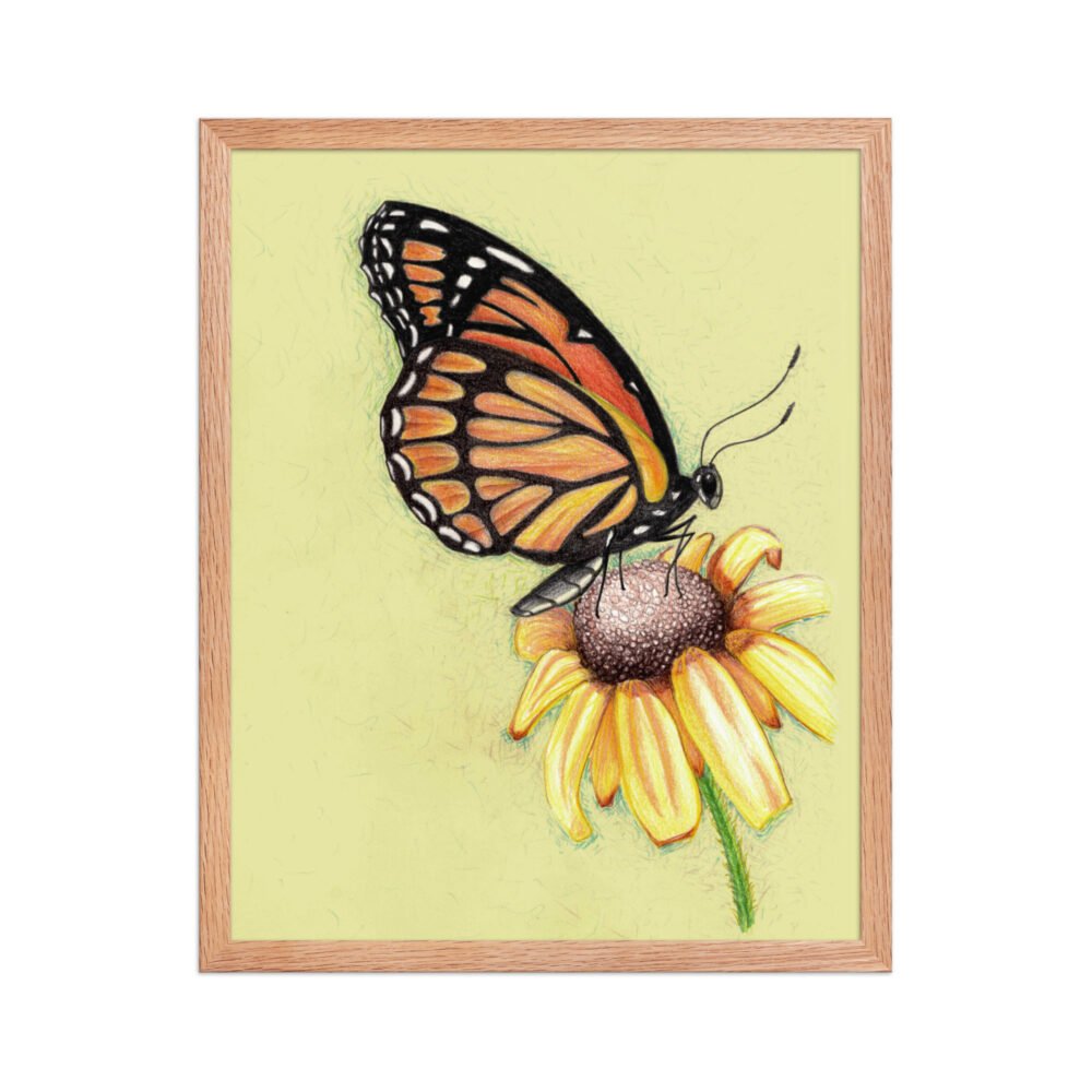 Butterfly on Flower Pencil Design Poster Framed