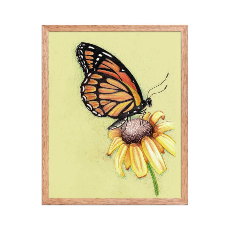 Butterfly on Flower Pencil Design Poster Framed - Image 7