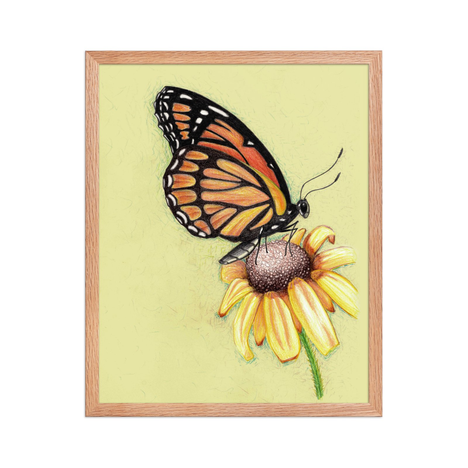 Butterfly on Flower Pencil Design Poster Framed - Image 7