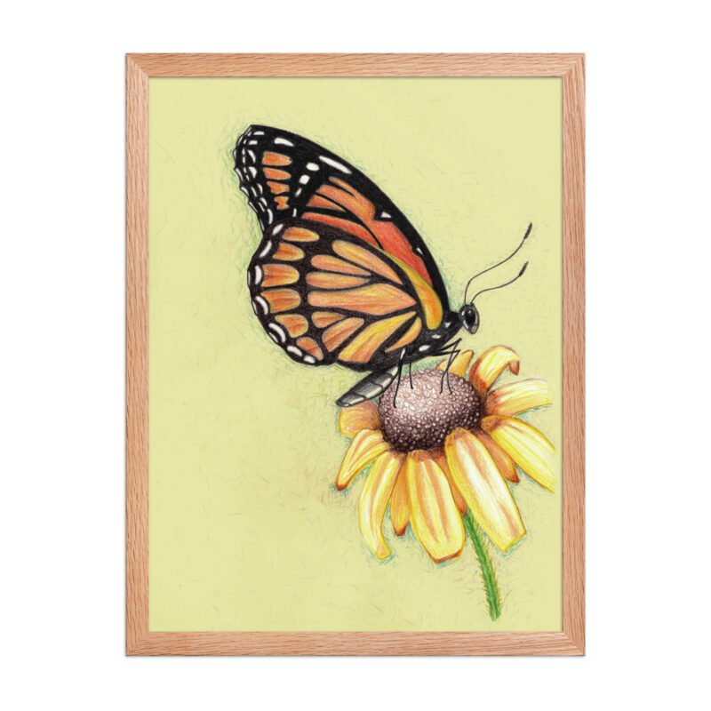 Butterfly on Flower Pencil Design Poster Framed - Image 8