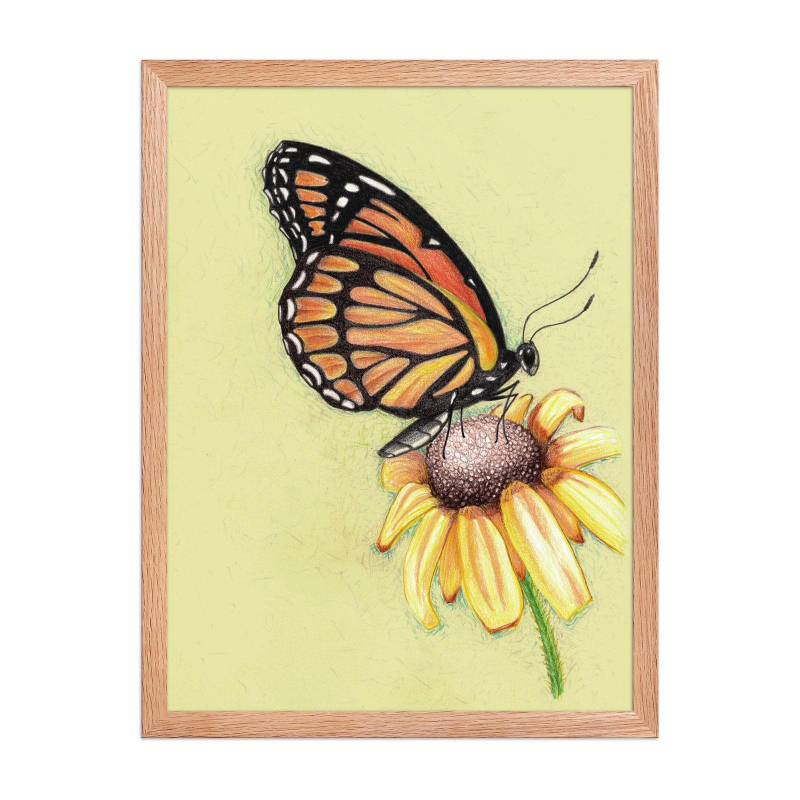 Butterfly on Flower Pencil Design Poster Framed - Image 8