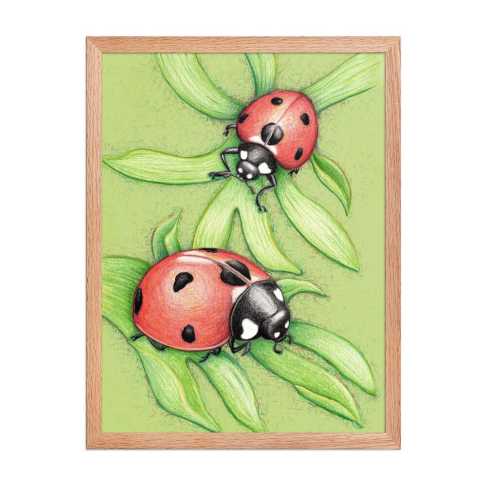 'Two Red Birds' Ladybug Pencil Design Poster Framed