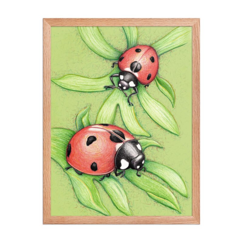 'Two Red Birds' Ladybug Pencil Design Poster Framed - Image 8