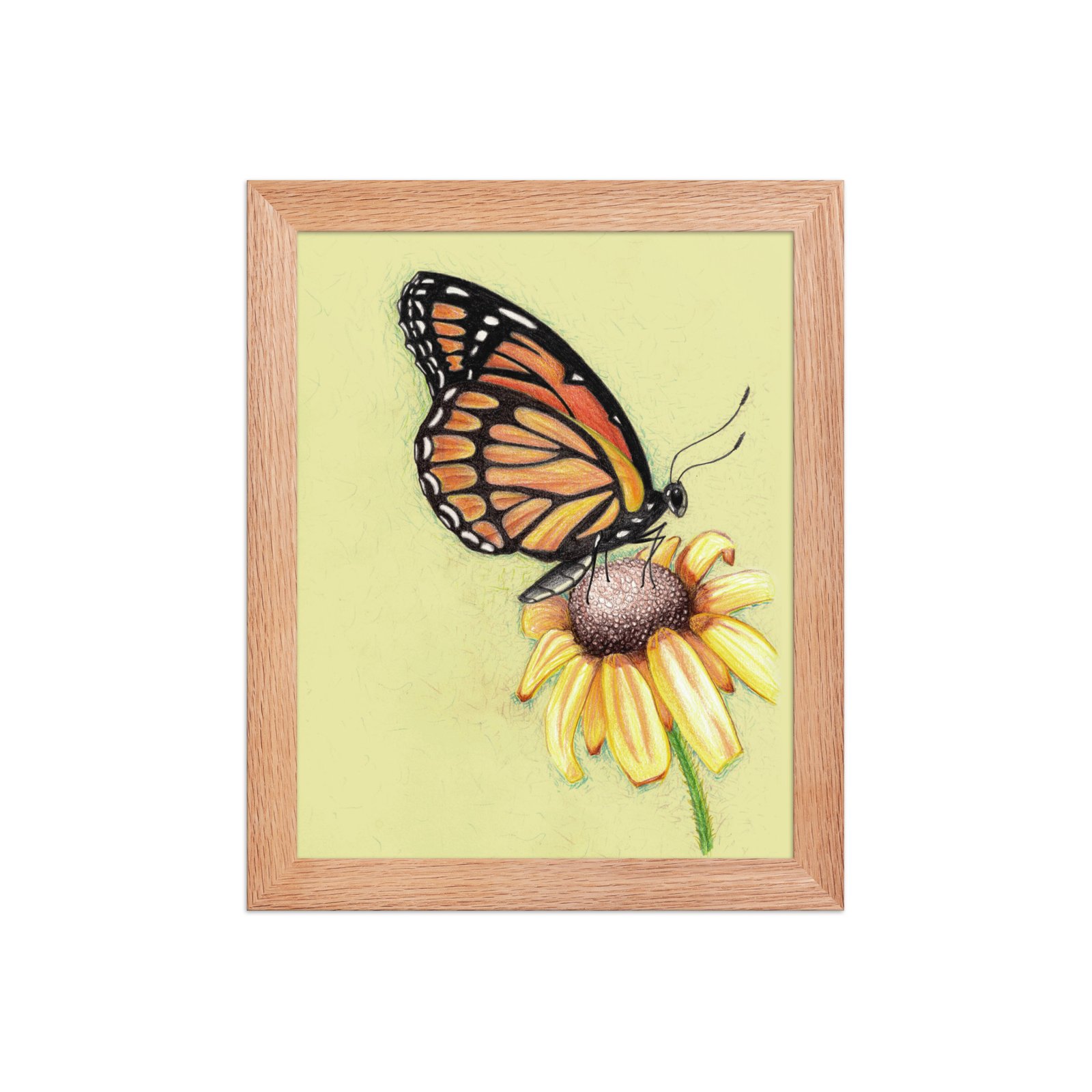 Butterfly on Flower Pencil Design Poster Framed - Image 5