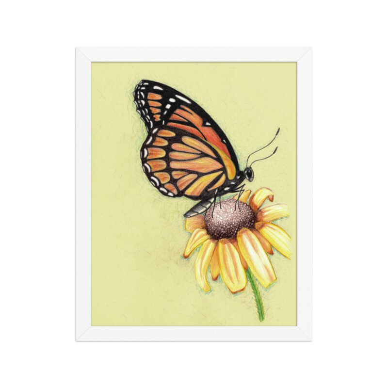 Butterfly on Flower Pencil Design Poster Framed - Image 10