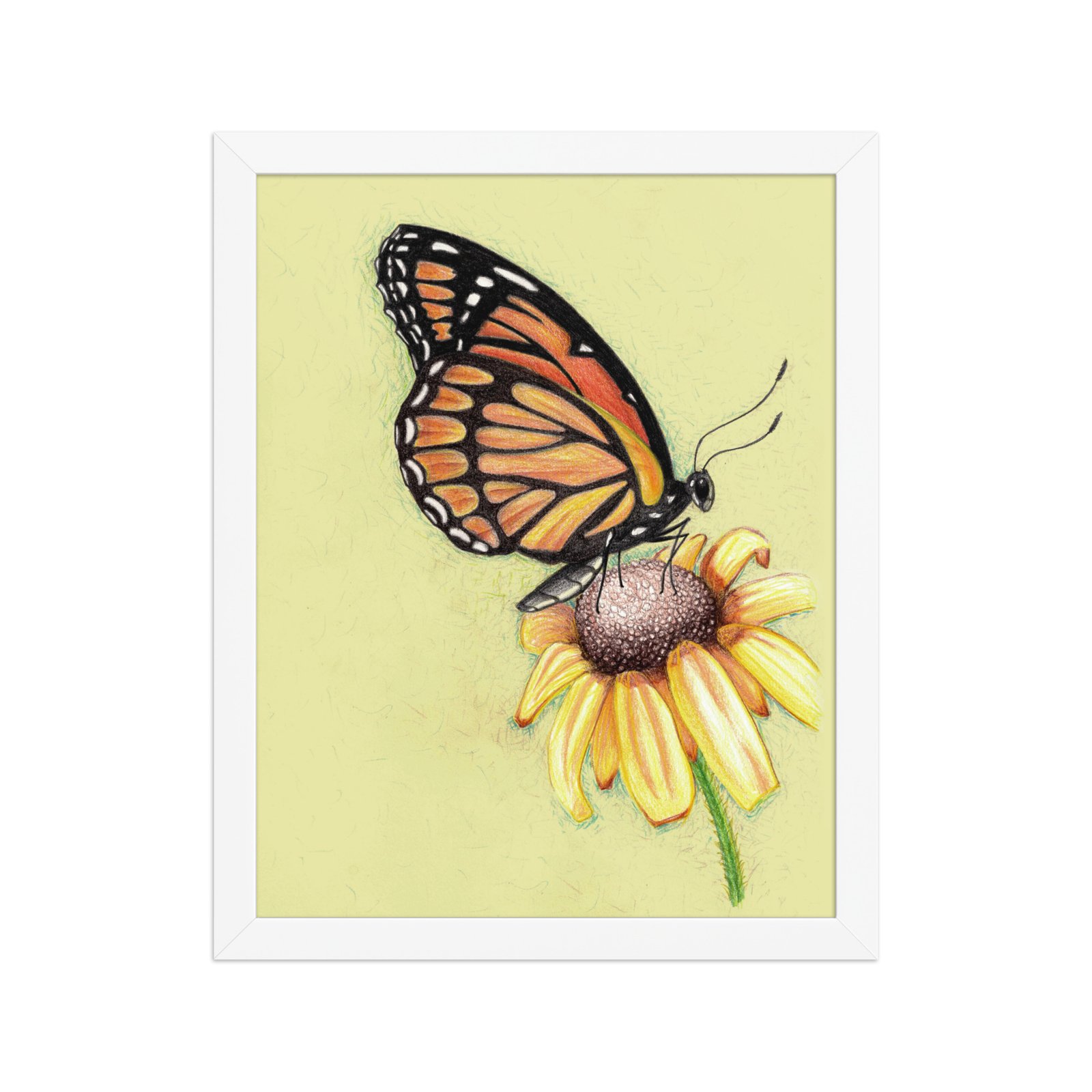 Butterfly on Flower Pencil Design Poster Framed - Image 10