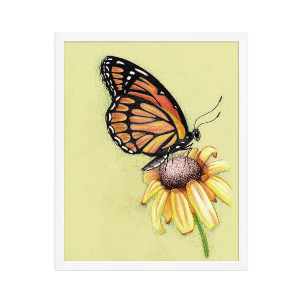 Butterfly on Flower Pencil Design Poster Framed