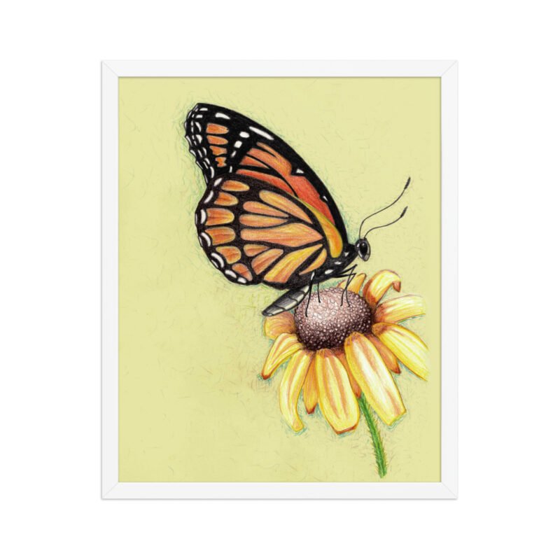 Butterfly on Flower Pencil Design Poster Framed - Image 11