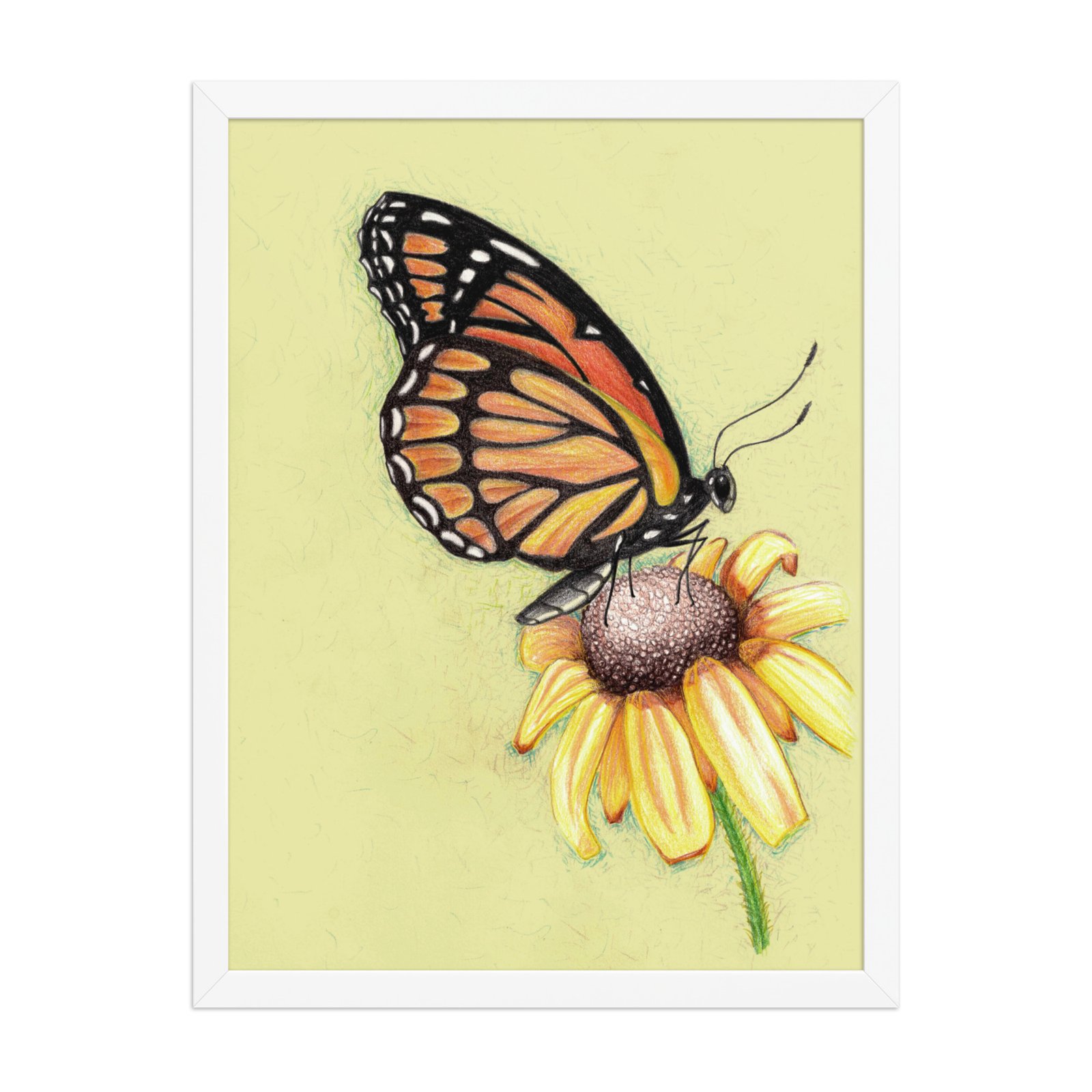 Butterfly on Flower Pencil Design Poster Framed - Image 12