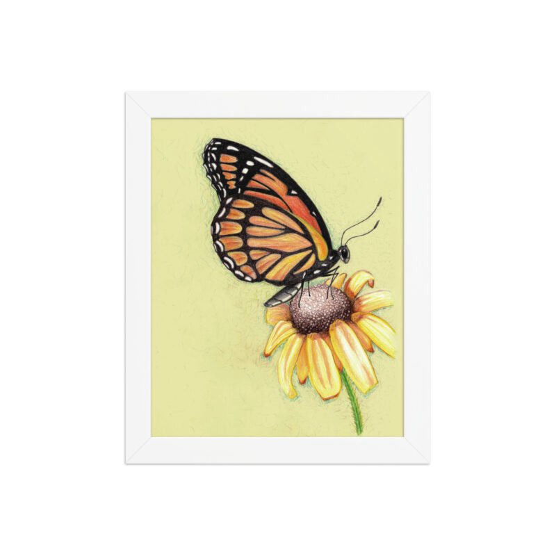 Butterfly on Flower Pencil Design Poster Framed - Image 9