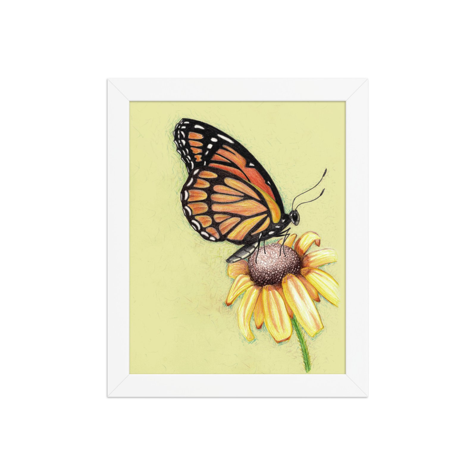 Butterfly on Flower Pencil Design Poster Framed - Image 9