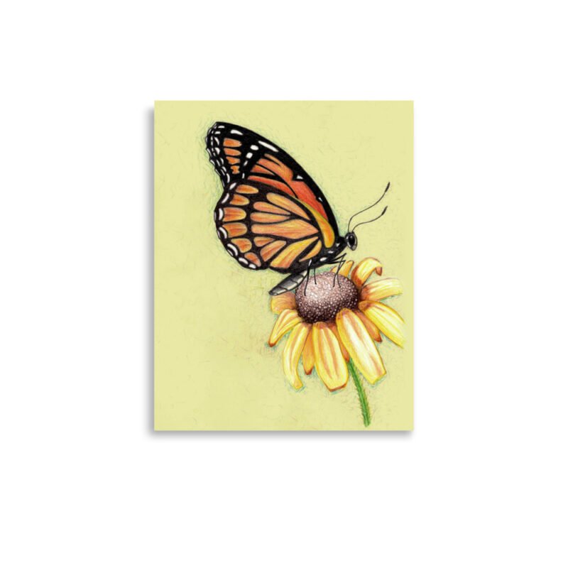 Butterfly on Flower Pencil Design Poster Unframed - Image 2