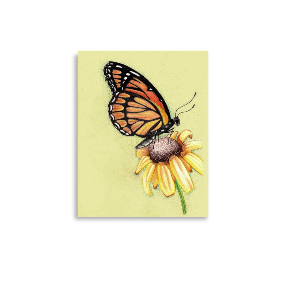 Butterfly on Flower Pencil Design Poster Unframed