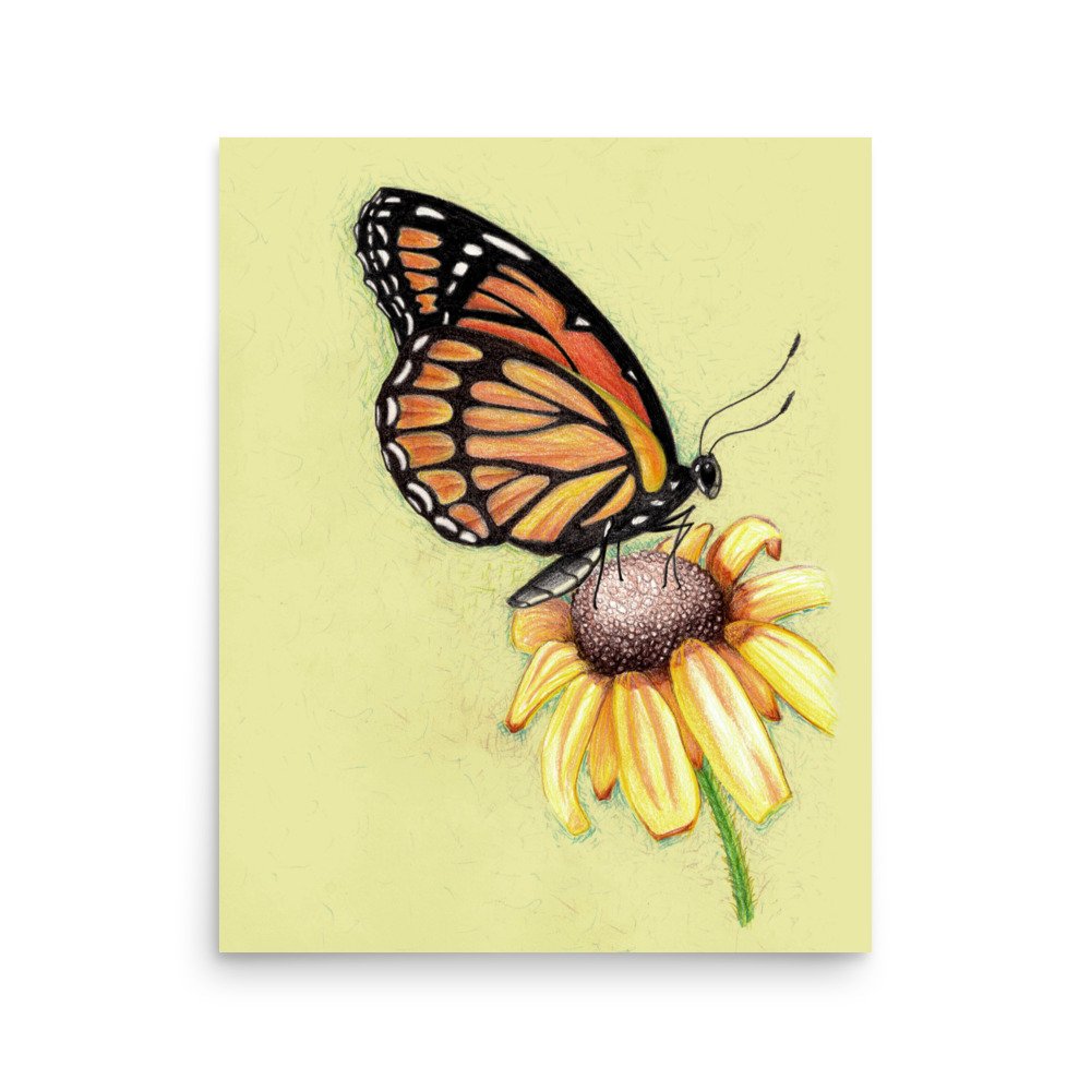 Butterfly on Flower Pencil Design Poster Unframed