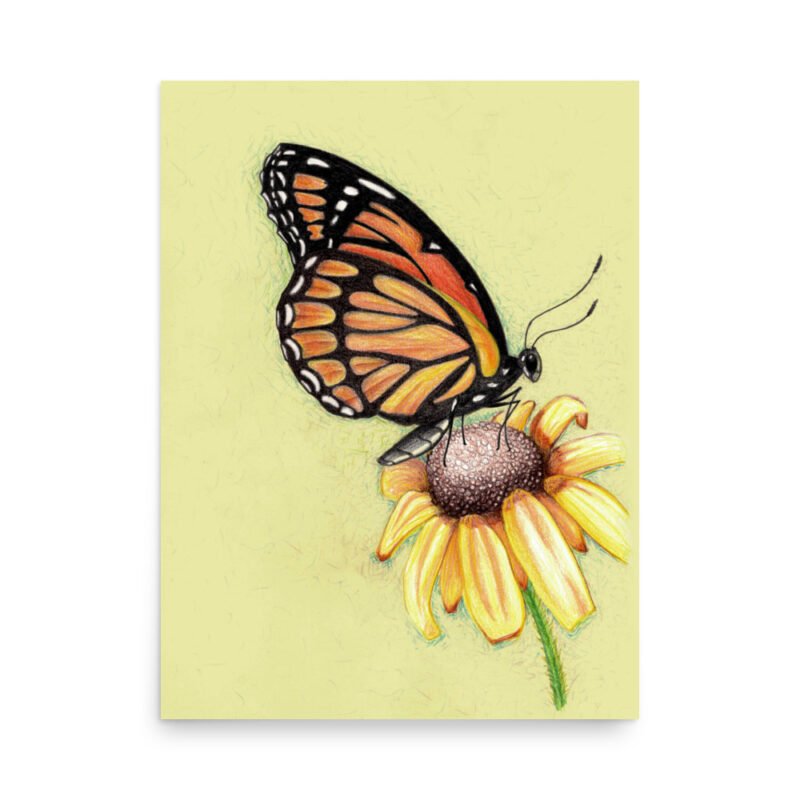 Butterfly on Flower Pencil Design Poster Unframed - Image 4