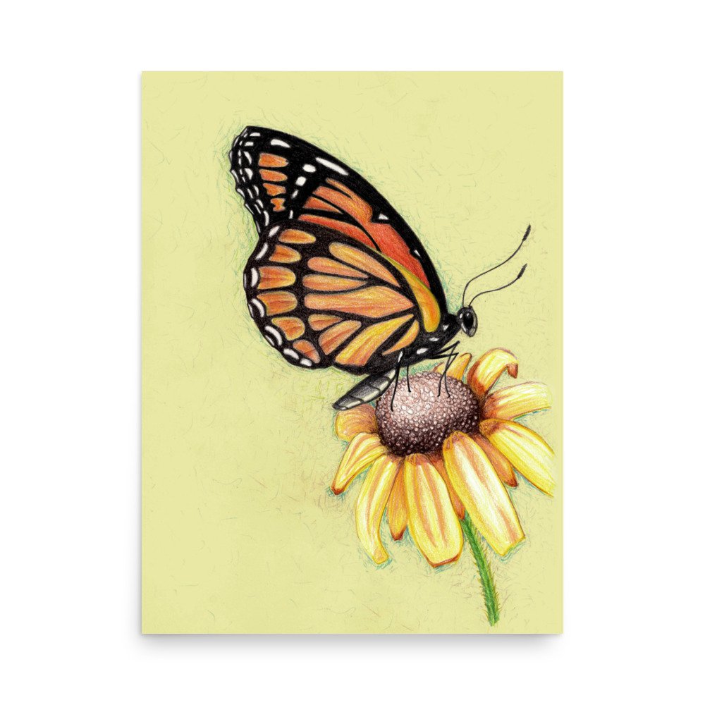 Butterfly on Flower Pencil Design Poster Unframed