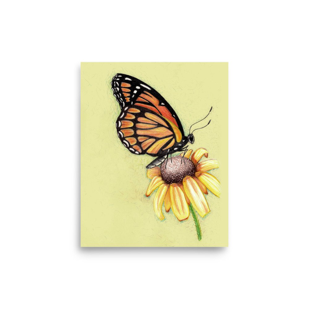 Butterfly on Flower Pencil Design Poster Unframed