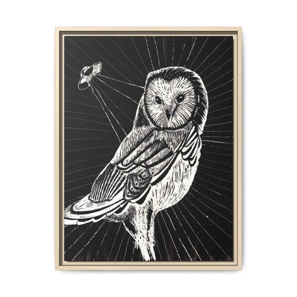 UFO Owl Matte Canvas Framed Print — Black and White Rustic Wall Art