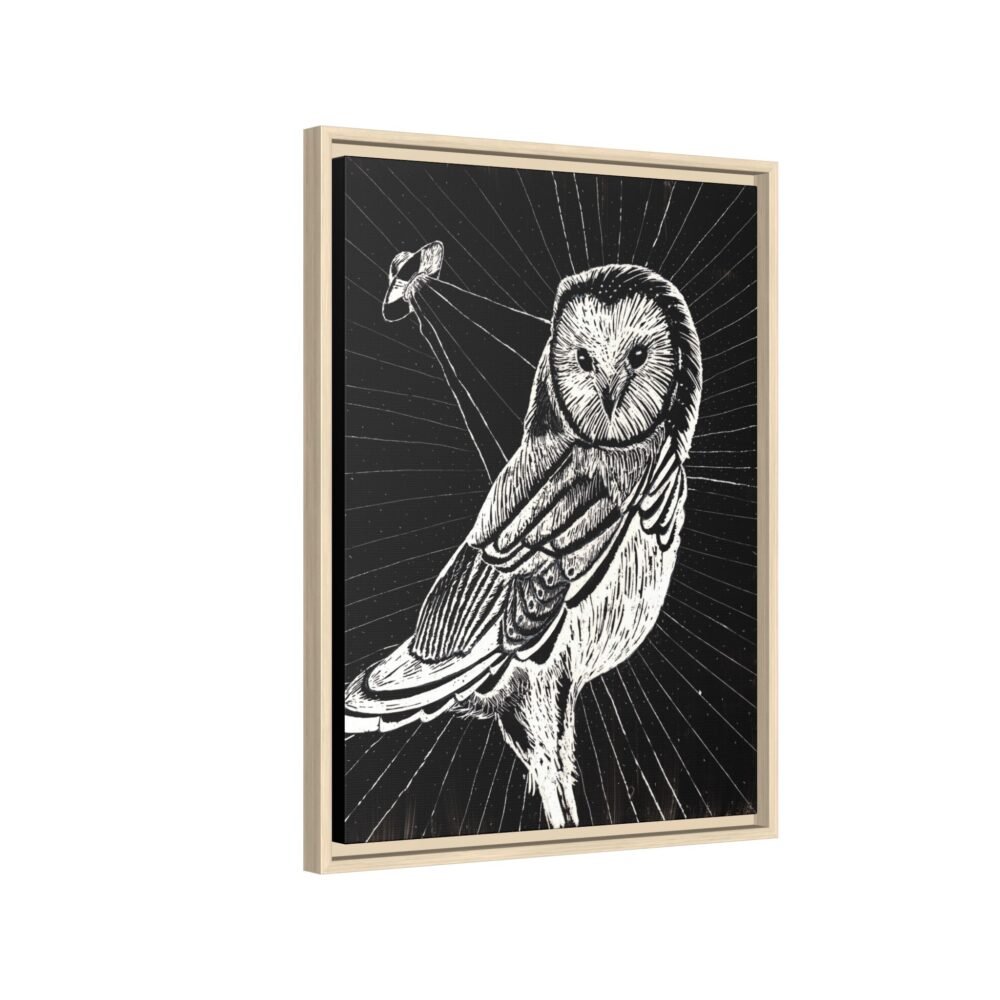 UFO Owl Matte Canvas Framed Print — Black and White Rustic Wall Art
