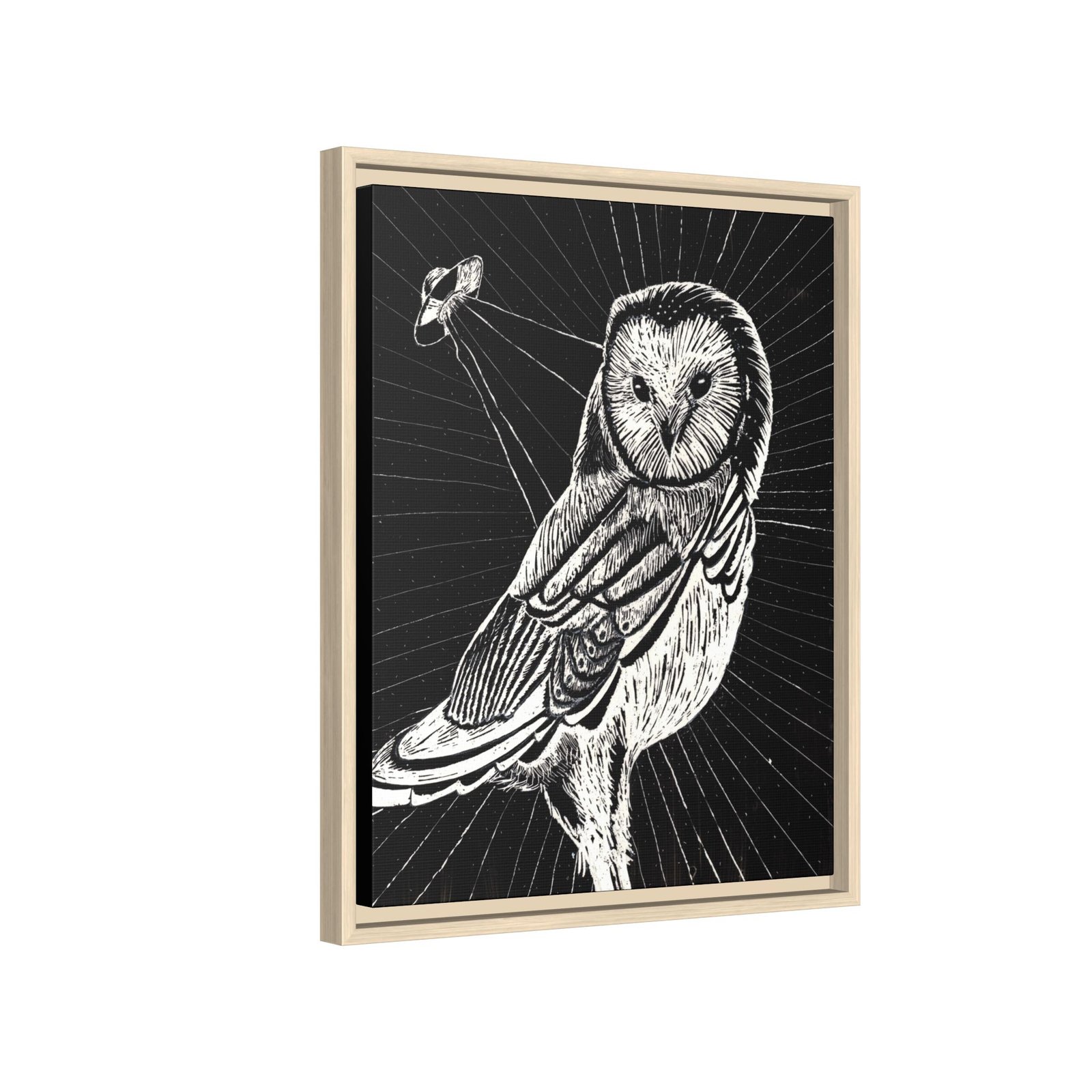 UFO Owl Matte Canvas Framed Print — Black and White Rustic Wall Art - Image 8
