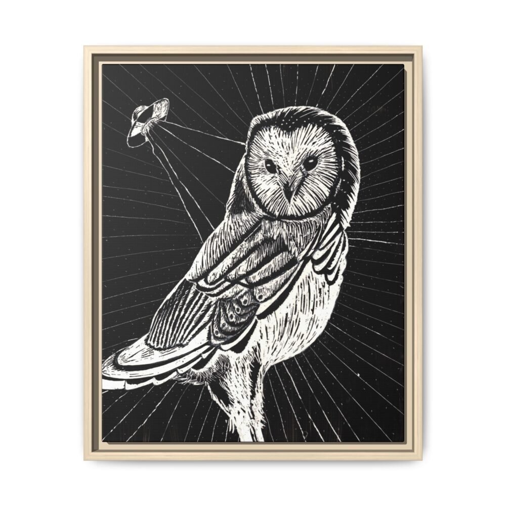 UFO Owl Matte Canvas Framed Print — Black and White Rustic Wall Art