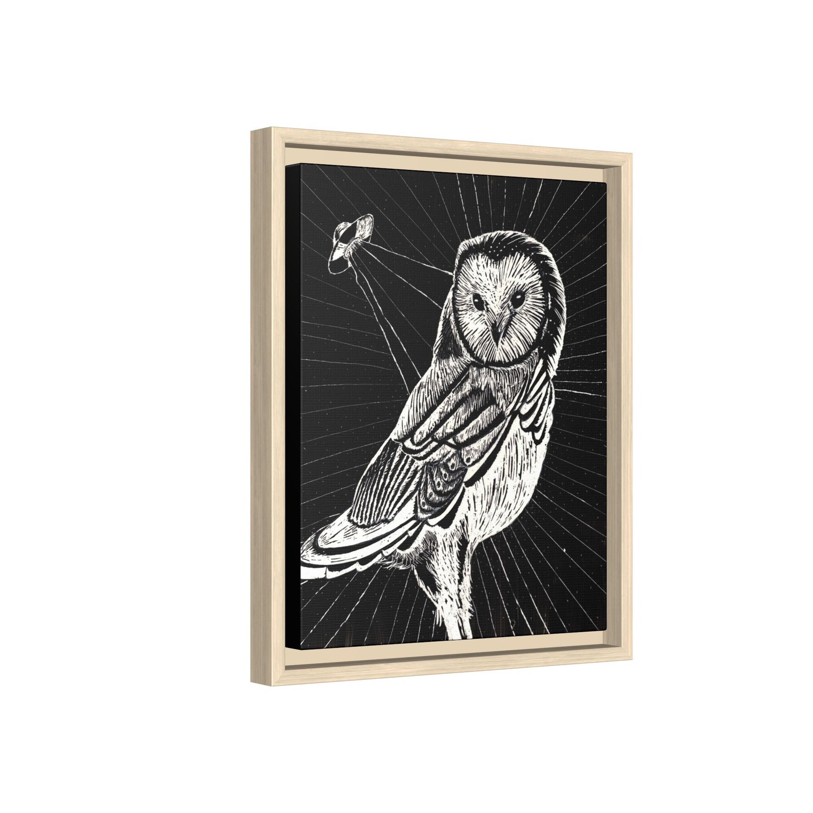 UFO Owl Matte Canvas Framed Print — Black and White Rustic Wall Art - Image 24