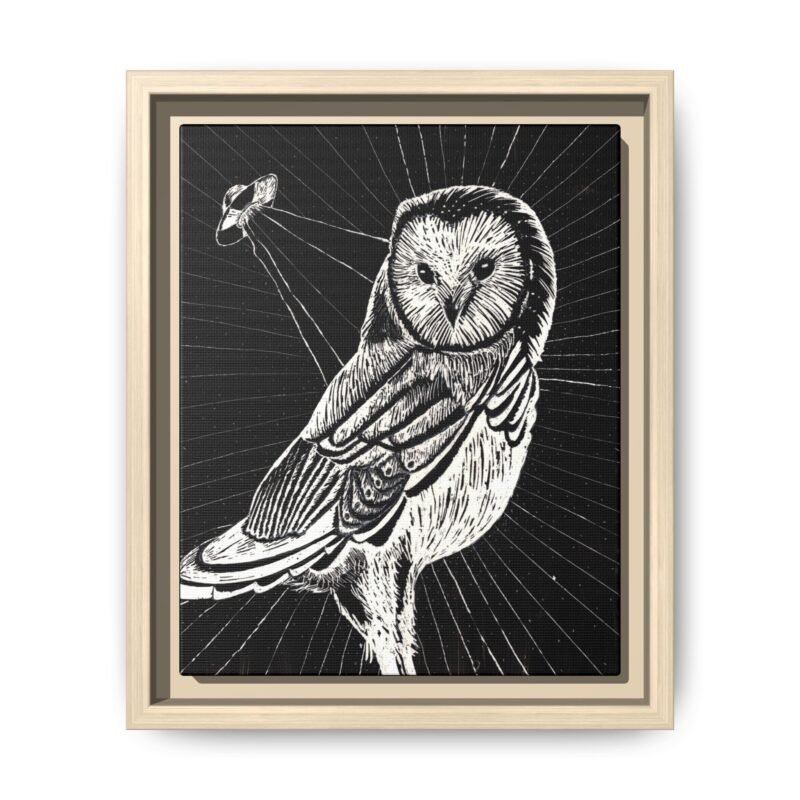 UFO Owl Matte Canvas Framed Print | Black and White Wall Art