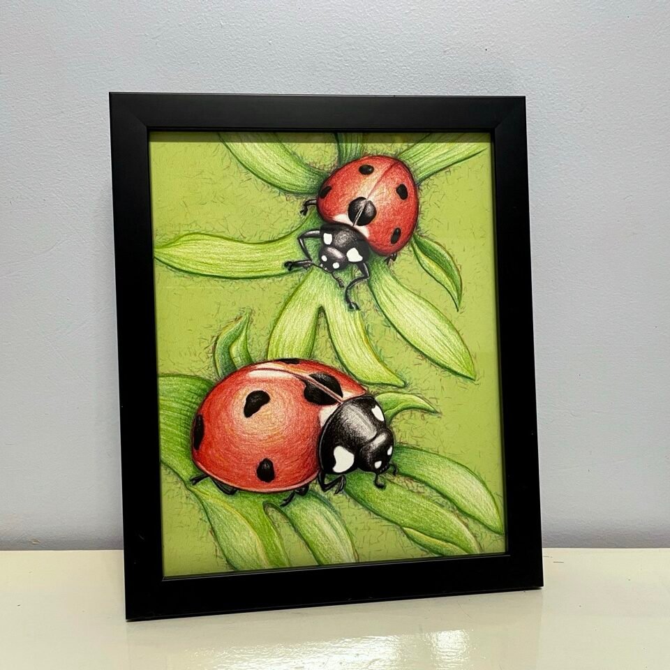 Lady bug framed pencil drawing print actual product